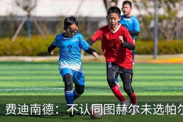 费迪南德：不认同图赫尔未选帕尔默的决定，后者在大赛证明过自己